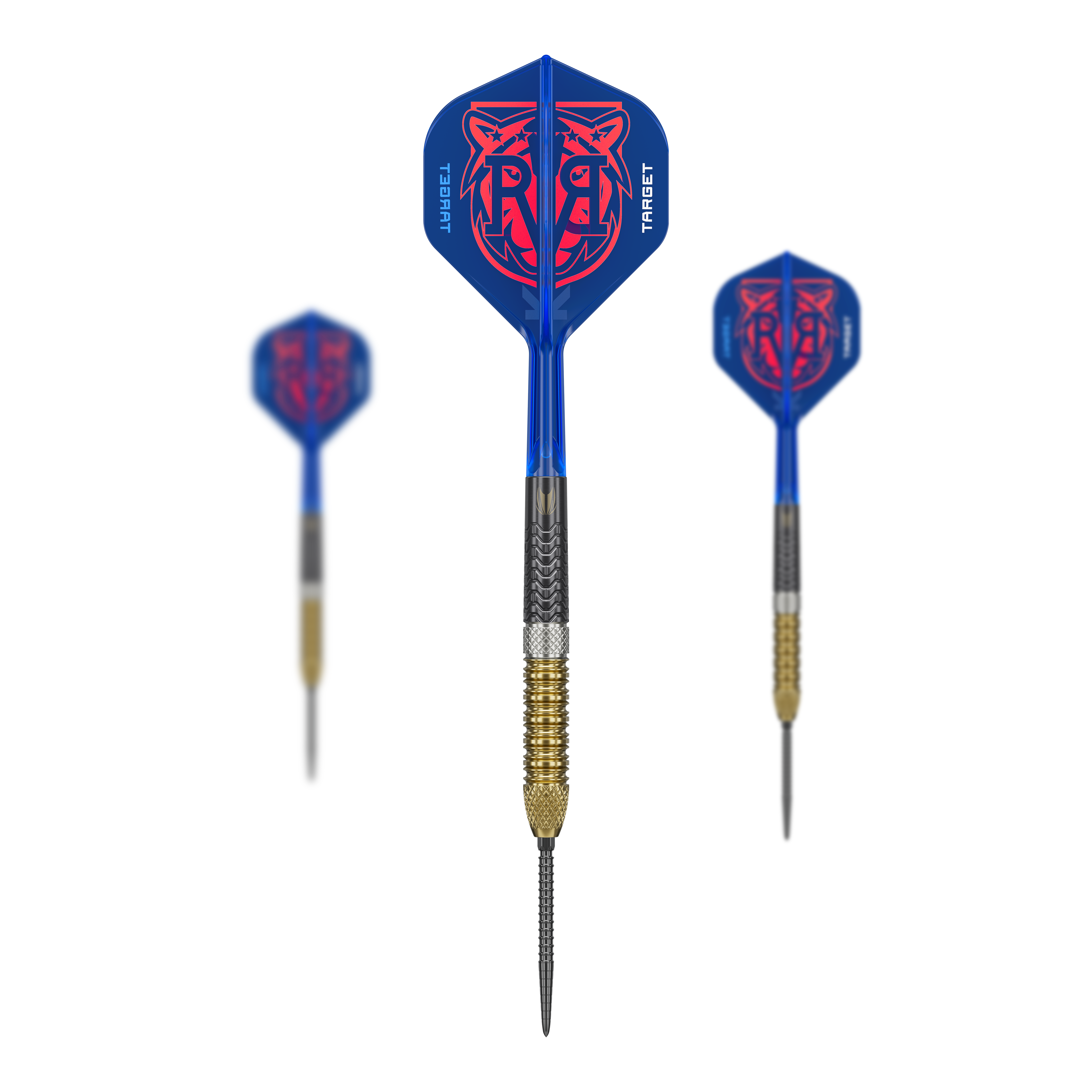 Zu sehen sind die Target Raymond Van Barneveld GEN6 Swiss Point Steeldarts. Diese Darts sind speziell für professionelle Ansprüche gefertigt.