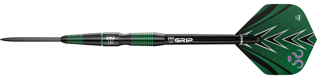 Bulls Brian Raman G2 steel darts