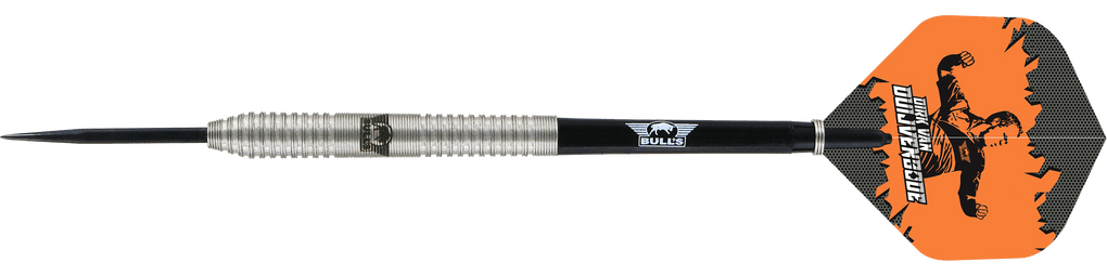 Bulls NL Dirk van Duijvenbode steel darts