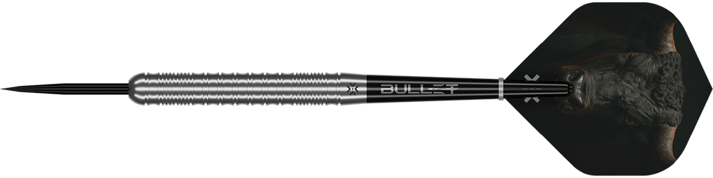 Bullet Fury steel darts