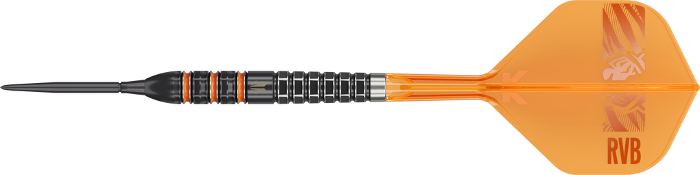 Target Raymond Van Barneveld 95K Swiss Points Steel Darts