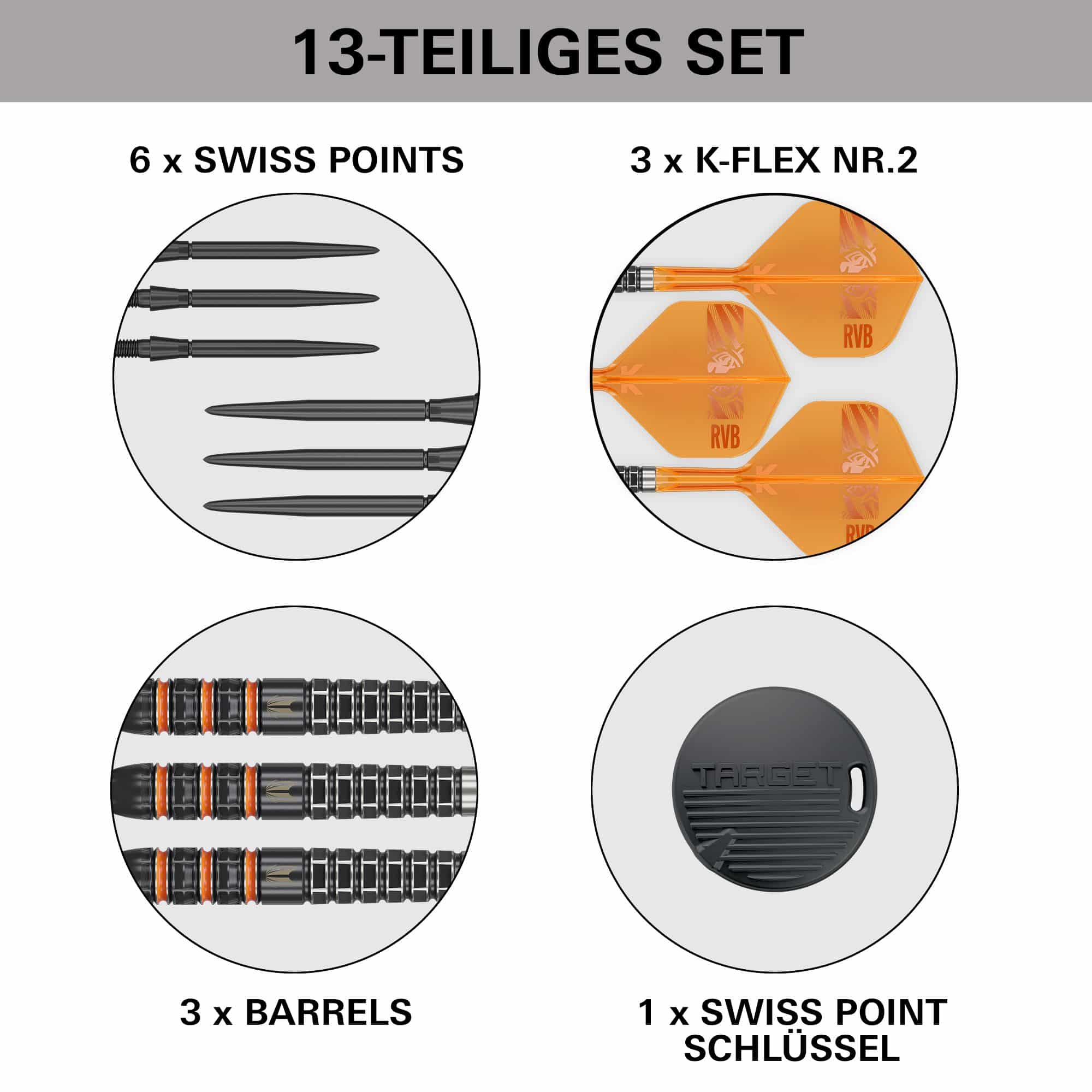 Target Raymond Van Barneveld 95K Swiss Points Steel Darts Target Raymond Van Barneveld 95K Swiss Points Steel Darts