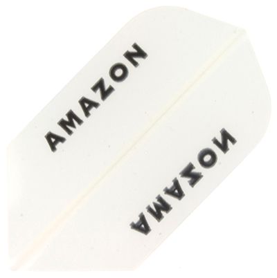 Amazon Flights A24