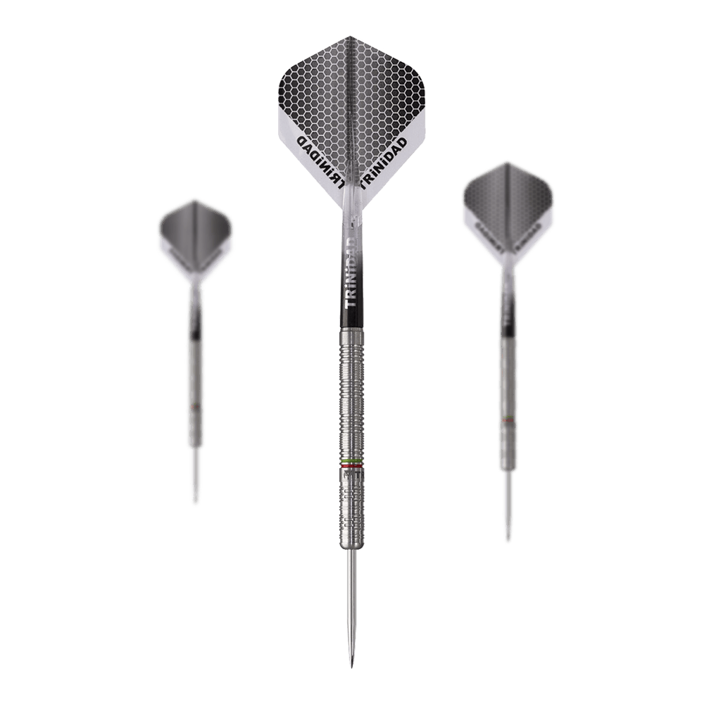 Trinidad Jose De Sousa Type 3 Steel Darts - 22g