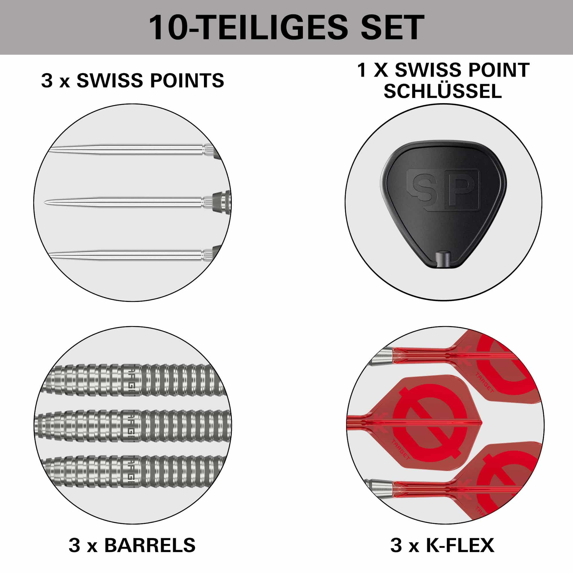 Target Group O 02 Swiss Points Steel Darts