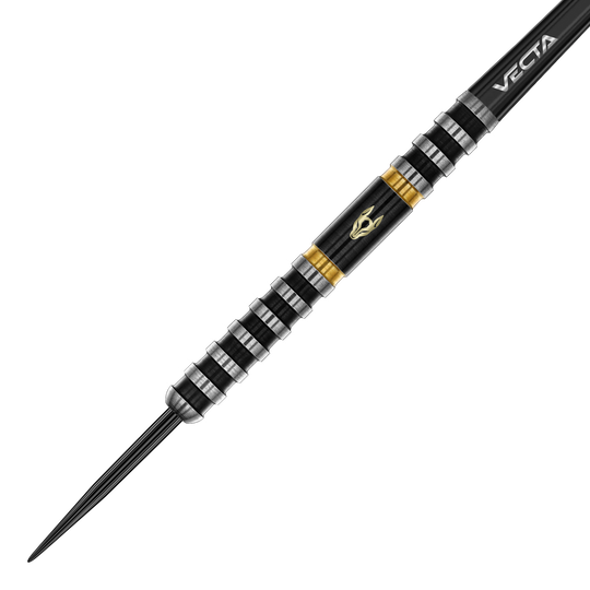 Winmau Alex Spellman Steeldarts sind hochwertige Steeldarts für Dartspieler. Das Bild zeigt das Design und die Details der Darts.