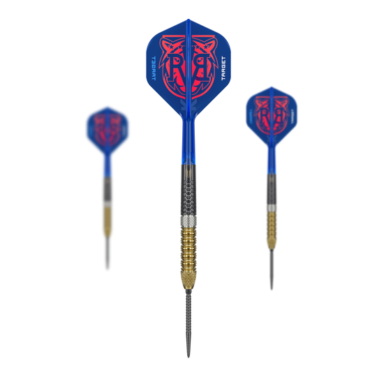 Zu sehen sind die Target Raymond Van Barneveld GEN6 Swiss Point Steeldarts. Diese Darts sind speziell für professionelle Ansprüche gefertigt.