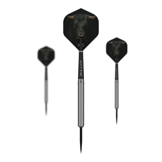 Dieses Bild präsentiert die Bullet Fury Steel Darts. Diese Steeldarts zeichnen sich durch ihre Robustheit aus.