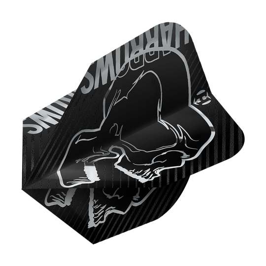 Harrows Rage Silver No6 Flights Das Bild zeigt ein schwarzes Dartflight mit einem silbernen Totenkopf-Design. Oben ist der Schriftzug "HARROWS" in Silber zu sehen.