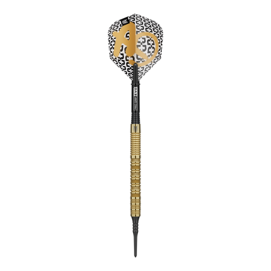 Target Bolide Envy 10 soft darts Zu sehen ist das Produkt Target Bolide Envy 10 Softdarts. Diese Darts sind ideal für Softdart-Spieler geeignet.