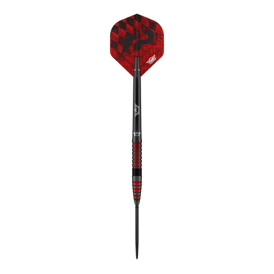 Abgebildet ist das Set Bulls NL Florian Preis 90 Convertible Point Steeldarts. Die Darts wirken hochwertig.