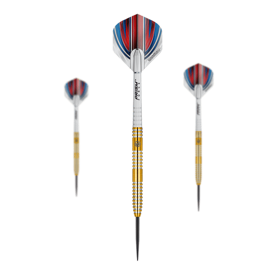 Winmau Daryl Gurney steel darts