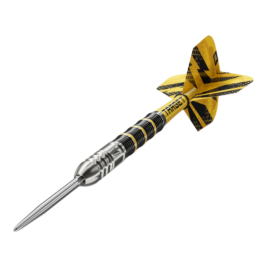Das Bild zeigt die Target Buzz 02 Swiss Points Steeldarts. Die Steeldarts sind aus nächster Nähe aufgenommen.