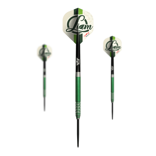 Bulls NL Liam Maendl Lawrance Steeldarts - 23g