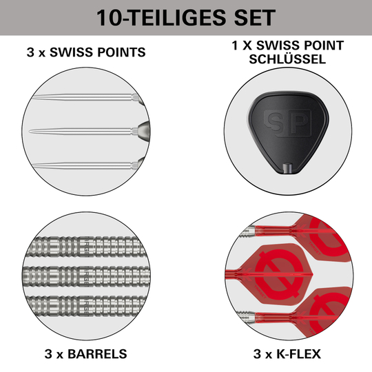 Target Group O 03 Swiss Points Steel Darts