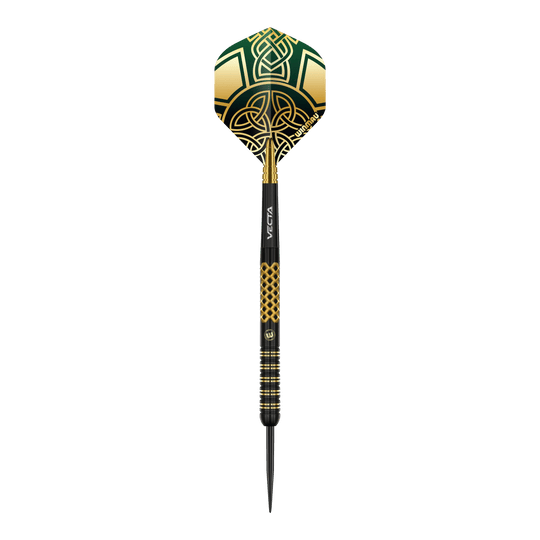 Die abgebildeten Darts sind Winmau Brendan Dolan Signature Series Steeldarts. Sie zeichnen sich durch ihre spezielle Form und Verarbeitung aus.