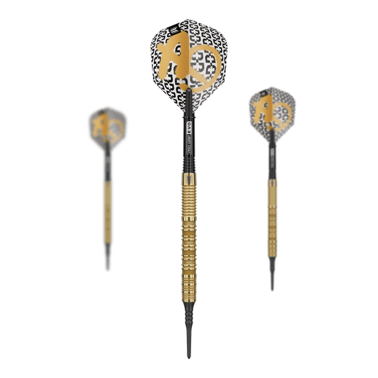 Abgebildet ist ein Set der Target Bolide Envy 10 Softdarts. Das Set umfasst hochwertige Softdarts für den Dart-Sport.