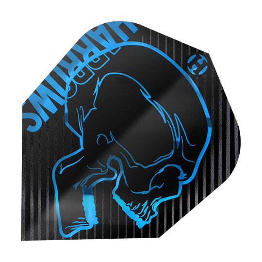 Harrows Rage Aqua No. 6 Flights Das Bild zeigt ein Dartflight mit dem Namen "Harrows Rage Aqua No6 Flights". Auf dem schwarzen Flight ist ein blauer Totenkopf und das HARROWS-Logo abgebildet.