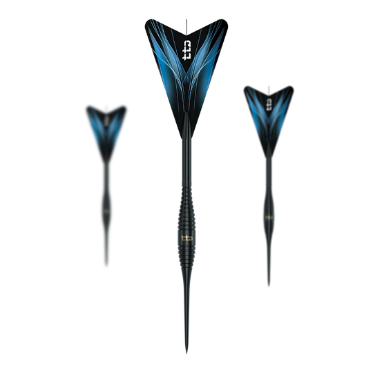 Dies ist ein Set Caliburn TTD Complete Titanium T2 Black Steeldarts mit einem Gewicht von 6g. Das Produkt ist für das Dartspiel geeignet.