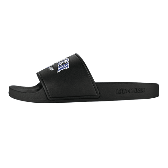Dieses Foto stellt die Löwen Kollektion DARTIletten Schuhe dar. Ideal geeignet für Liebhaber des Dartsports.