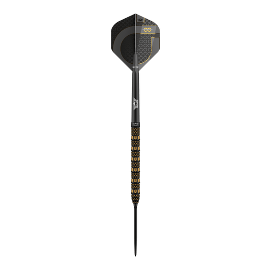 Bulls NL Advantage 95 Rail Convertible Point Steel Darts