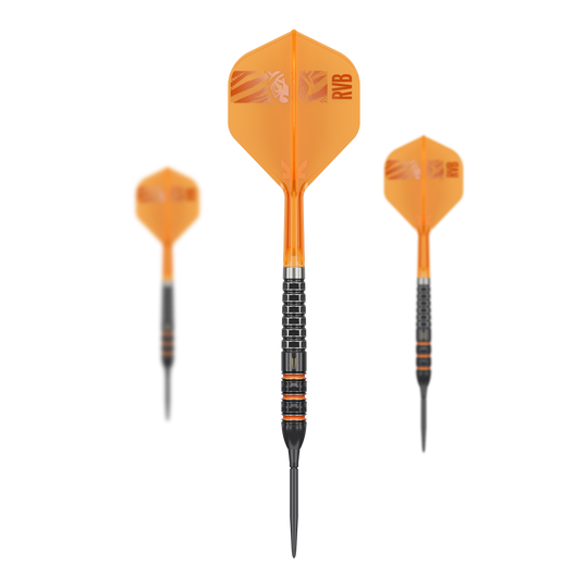 Target Raymond Van Barneveld 95K Swiss Points Steel Darts