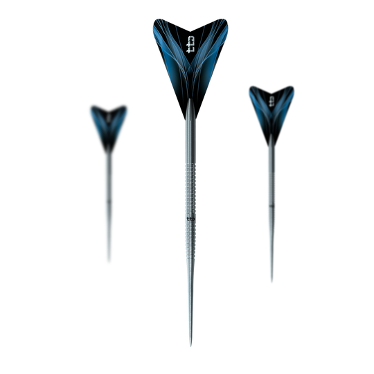 Caliburn TTD Complete Titanium T1 Silver Steeldarts - 5g Das Foto zeigt ein Set der Caliburn TTD Complete Titanium T1 Silver Steeldarts - 5g. Es sind hochwertige Steeldarts aus Titan für das Dartspiel.