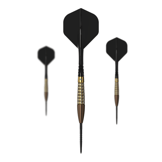 Auf dem Bild sind die Mission Rhodon Steeldarts - 23g als Set zu sehen. Das Set beinhaltet alles, was für ein sofortiges Spiel benötigt wird.