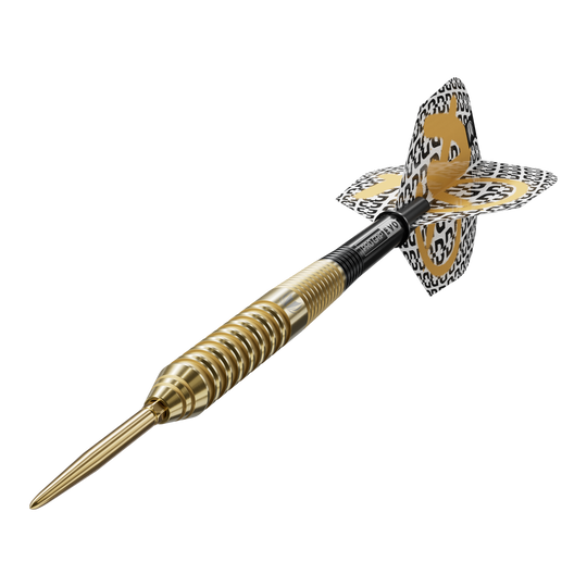 Gezeigt wird der Target Bolide Envy 02 Swiss Point Steeldart. Der Dartpfeil ist für präzises Werfen und hohen Komfort konzipiert.