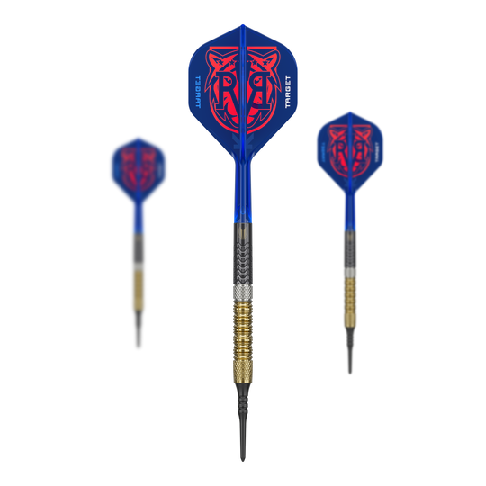 Das Bild zeigt das Target Raymond Van Barneveld GEN6 Softdarts Set. Alle enthaltenen Darts und Zubehörteile sind zusammen zu sehen.
