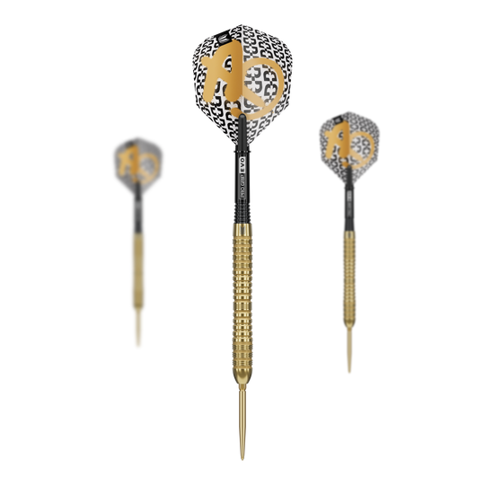 Target Bolide Envy 04 Swiss Point Steeldarts sind im Bild zu erkennen. Das Set eignet sich ideal für Wettkämpfe und Freizeitspiele.