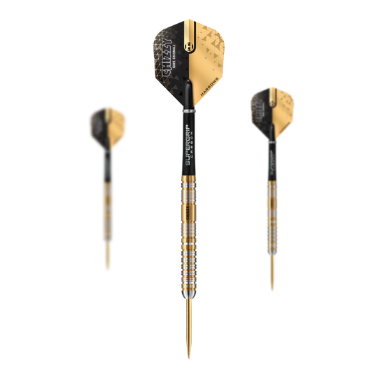 Harrow&#39;s Dave Chisnall Chizzy 2024 Series 2 steel darts