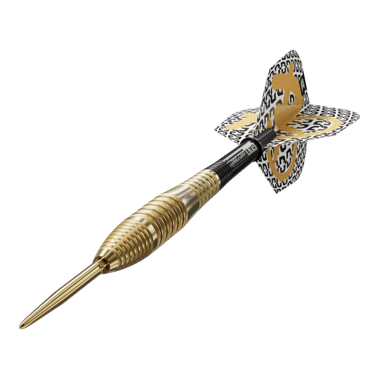 Das Foto präsentiert die Target Bolide Envy 05 Swiss Point Steeldarts. Die Dartpfeile sind aus der Nähe fotografiert und wirken hochwertig verarbeitet.