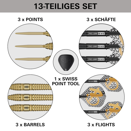 Target Bolide Envy 03 Swiss Point Steeldarts, abgebildet auf dem Produktbild. Es handelt sich um Steeldarts mit Swiss Point System.